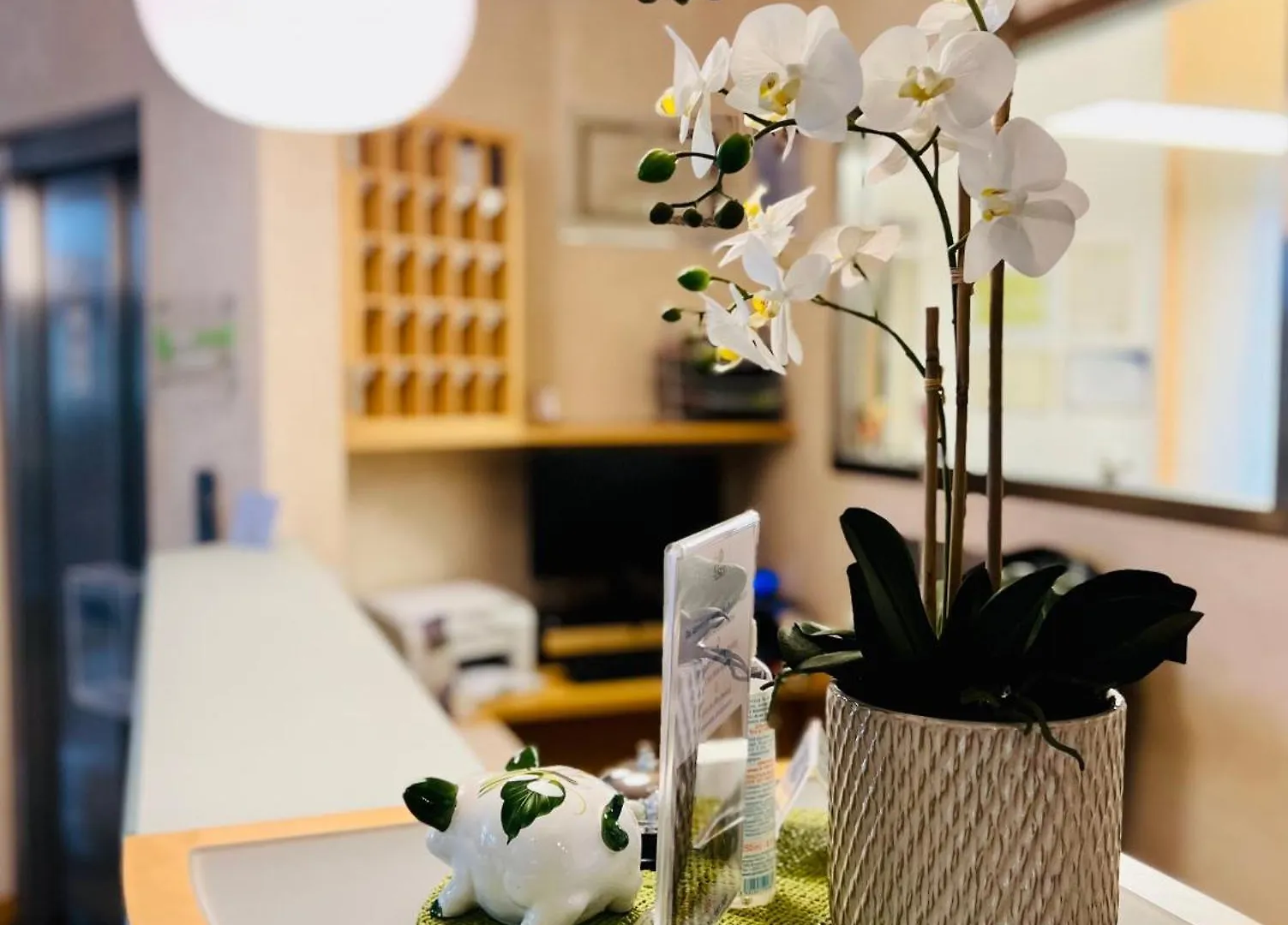 Eco Hotel Ariston マルチェージネ