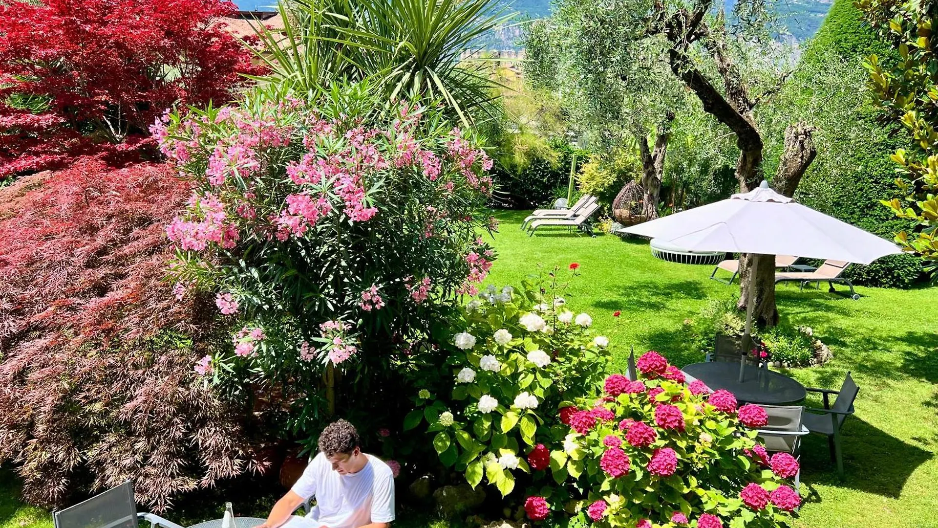Eco Hotel Ariston Malcesine