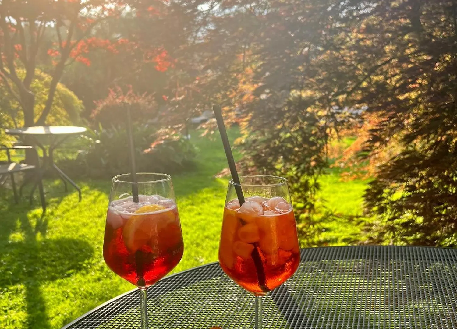 Eco Hotel Ariston マルチェージネ