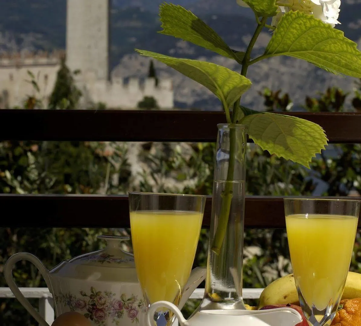 Eco Hotel Ariston Malcesine