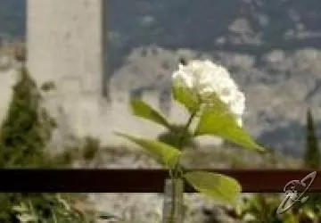 Eco Hotel Ariston Malcesine Italien